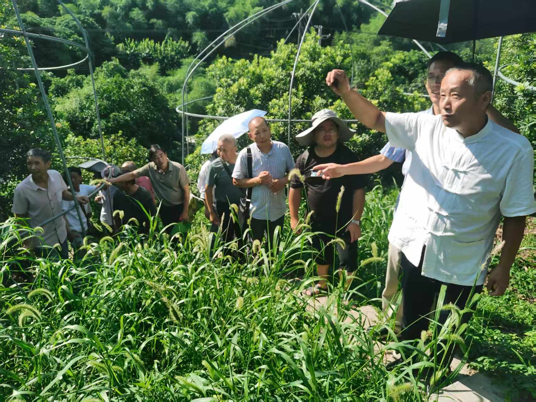 亚美体育在线官网